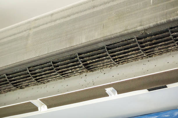 Best HVAC Air Duct Cleaning  in Rutledge, GA